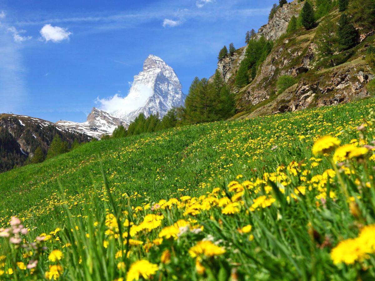 Apartment Matten - Utoring-13 By Interhome Zermatt Dış mekan fotoğraf